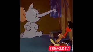 Tom And Jerry Jerry And The Elephant Double