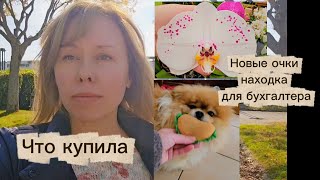 картинка: На РАБОТУ К БУХГАЛТЕРУ/ НОВЫЕ ОЧКИ/ САДОВЫЙ МАГАЗИН ФРАНЦИИ ЧТО МОЖНО КУПИТЬ В ОКТЯБРЕ