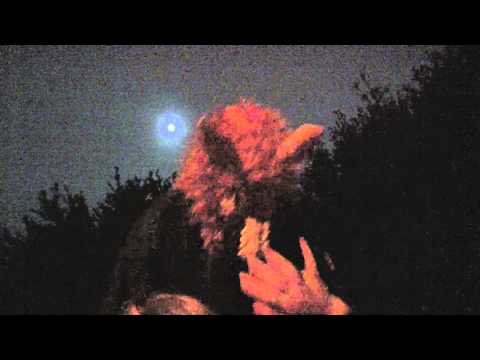Werewolf Attack