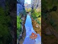 Beautiful Tidal Pool and Seaweed-covered Rocks #shorts
