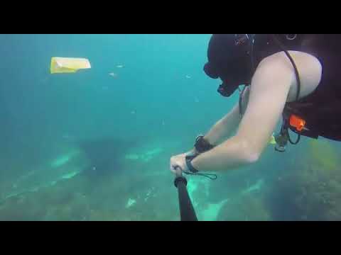 Monster Divers What to say what to do Monster Divers What to say what to do