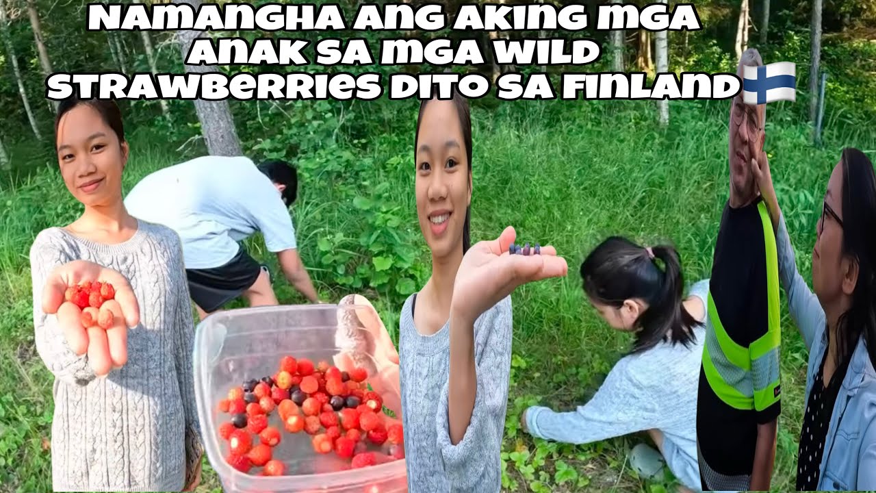 PICKING WILD STRAWBERRIES IN FINLAND| NAKAKA MANGHA| FILIPINO LIVING IN FINLAND VLOG