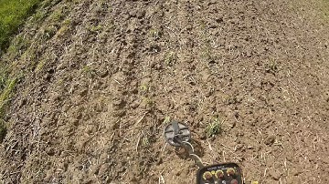 Golden Mask 4 Pro WD on a field