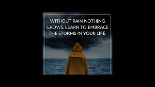 I love rainy days 💧💛 Beautiful quotes on rainy days ☔#RainydayQuotes I love rainy days 💧💛 Beautiful quotes on rainy days ☔#RainydayQuotes
