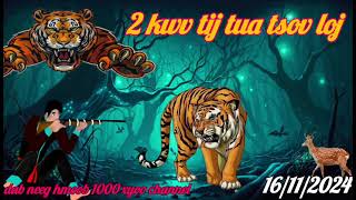 dab neeg 2 kwv tij mu yos hav zoov ntsib tsov tua tsov loj txaus ntshai heev
