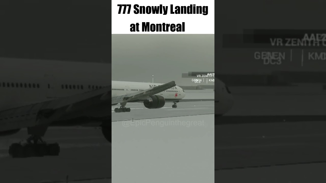 B777 Snowy Landing at Montreal 
