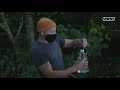 Hunting for the Murder Hornet on the US-Canada Border | Should You Be Afraid?