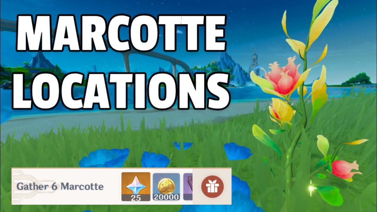 Where to find Marcotte | Fontaine | Genshin Impact