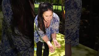 Field Guide 2023 : art making, mindfulness, nature