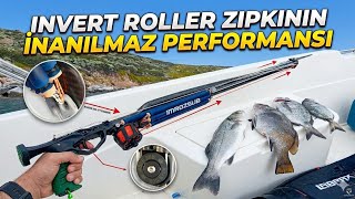 İnvert roller zıpkın ile Bodrum'un mavi sularında avlar#fish #labrax #hunt #fishing #bodrum