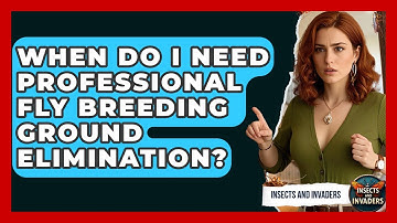 When Do I Need Professional Fly Breeding Ground Elimination? - Insects and Invaders