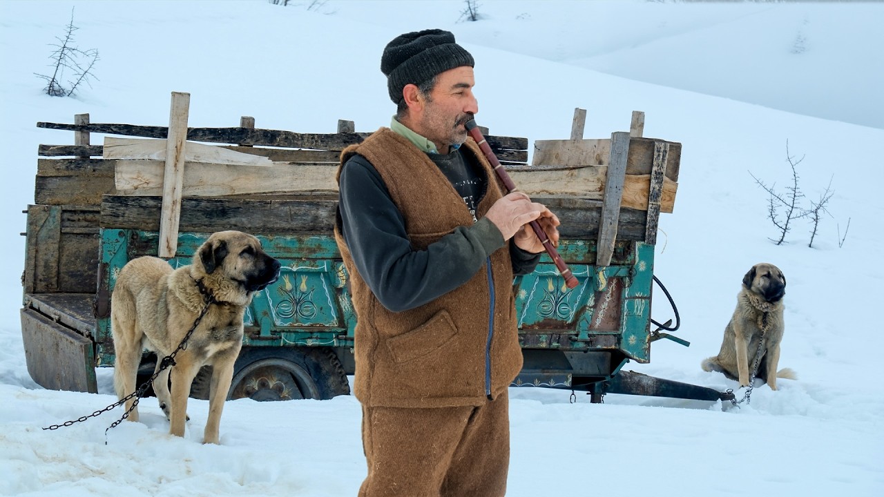 Жизнь на высоте 1 400 метров – Судьбы, сформированные тяжёлым трудом | Документальный фильм