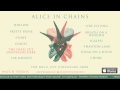 Alice In Chains &quot;The Devil Put Dinosaurs Here&quot; Album Sampler