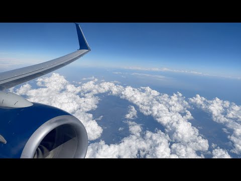 *4K* Full Flight: Delta 1332 | DTW-SRQ | Boeing 737-900ER - YouTube *4K* Full Flight: Delta 1332 | DTW-SRQ | Boeing 737-900ER - YouTube