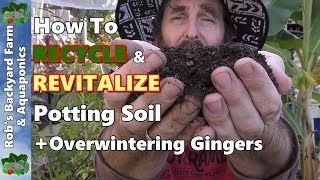 How to recycle and revitalize potting soil - plus overwintering
gingershi folks. in today's clip i share with you i've been recycling
& revitalising the ...