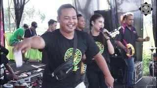 ALVI ANANTA - KETAMPEL - REYNO MUSIC (live) SUMBER MULYO - GAMBIRAN