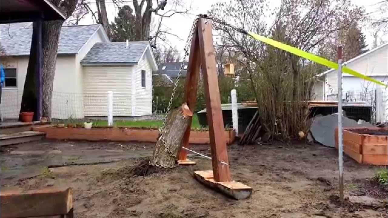 Pulling a Stump Using a Truck and Mechanical Advantage YouTube