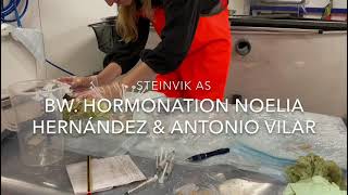 20210709 Steinvick hormonation