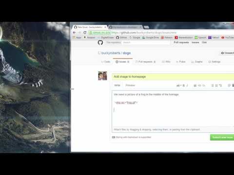 Git Tutorial   23   GitHub Issues and Labels
