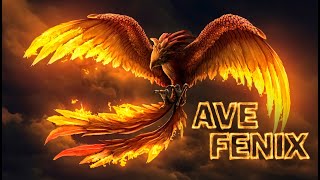 O Mito Da Fenix