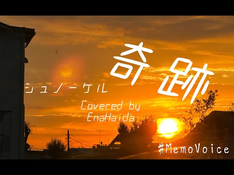 奇跡　シュノーケル　カバー　弾き語り　灰田エナ　MemoVoice