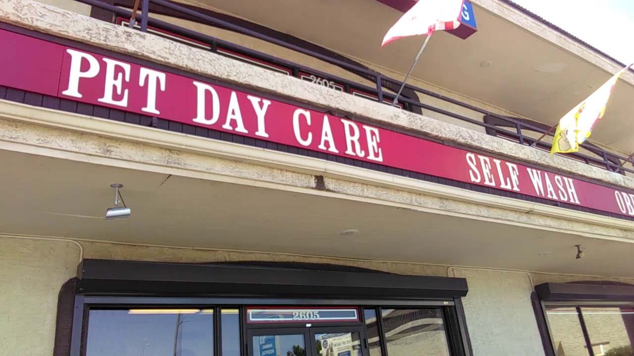 Gentle Groomers YouTube