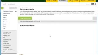 Introduction to Blackboard Organizations