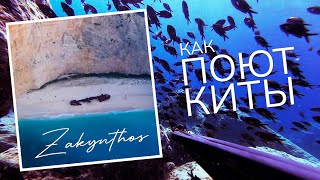 видео: Закинтос в сентябре. Подводная охота в Греции. Я СЛЫШАЛ КИТОВ! картинка: Закинтос в сентябре. Подводная охота в Греции. Я СЛЫШАЛ КИТОВ!