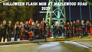Halloween Flash Mob at Maplewood Road Riegelsville 2025