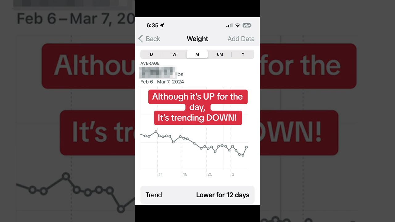 Snazzleberry jeeper adventure awaits 