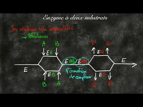 Vidéo: Quelles enzymes retirent un groupe phosphate de leur substrat ?