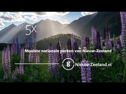 Video: Top 10 plaatsen om te gaan wandelen in Nieuw-Zeeland