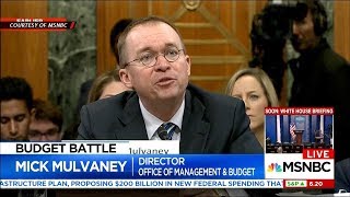WTH?! Trump's Budget Director Tells Congress He Would Vote Against His Own $4.4T Budget Proposal