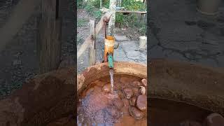 ​A Day in the Quiet Village: Simple Living & Peaceful Moments 🌾