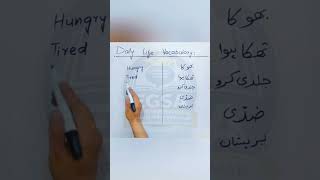 Daily Use English Words in Urdu 🔥 #english #spokenenglish #education #englishvocabulary