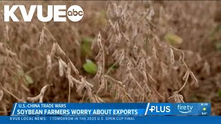 Leaked text reveals concern about US soybean exports