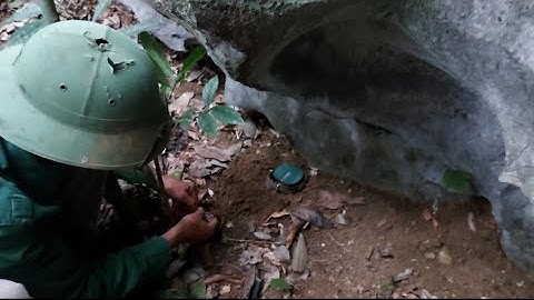 Vào Rừng Sâu Săn Bắt Chuột ( Tập 1 ) | Đi Đặt Bẫy - Văn Thắng