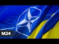 В Киеве заявили, что Украина не будет бороться за заявку на прием НАТО - Москва 24