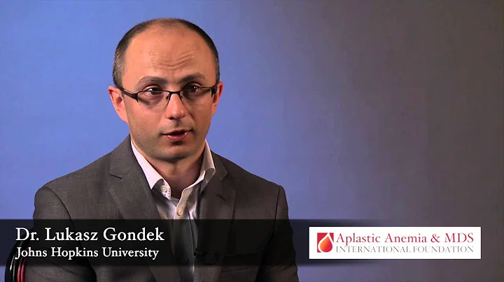Research Grant Recipient: Dr. Lukasz Gondek