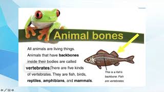 What are Captions, Photographs, and Illustrations? Text Features 02 Photograph Illustration Caption