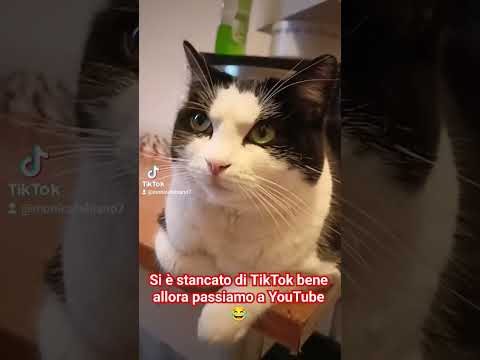 #humor #iscriviti al