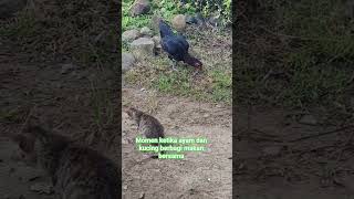 Indahnya Berbagi Sesama dj kucing banjirsegamat yukberdoa ikan jalanyangjauhjanganlupapulang