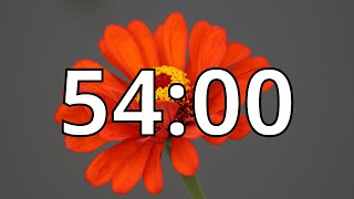 54 Minutes Timer with Music | Spring Timer
