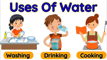 Uses of water | Importance of water | Water and it