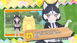 けものフレンズ３ フレンズ紹介pvイエイヌ シベリアンハスキー Youtube