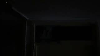 IMG ***8271