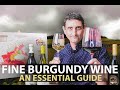 10-Minute Guide to Burgundy | Fine Wines from Bourgogne Part.#1