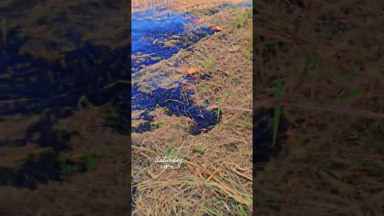 kheti aag lagane🤗🤗🤗🙏