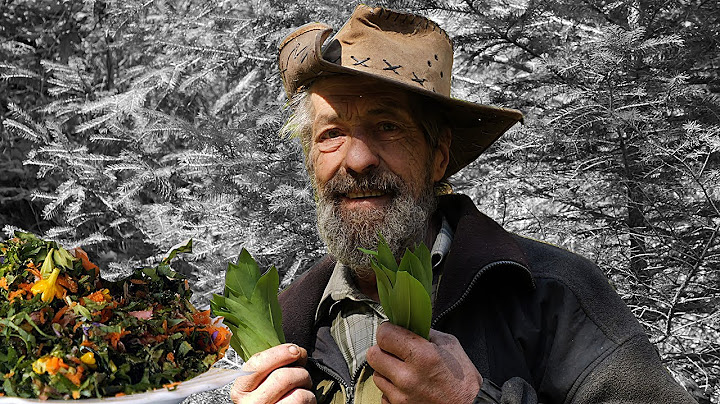 We picked wild garlic with Robinson and tasted the best salad from nature