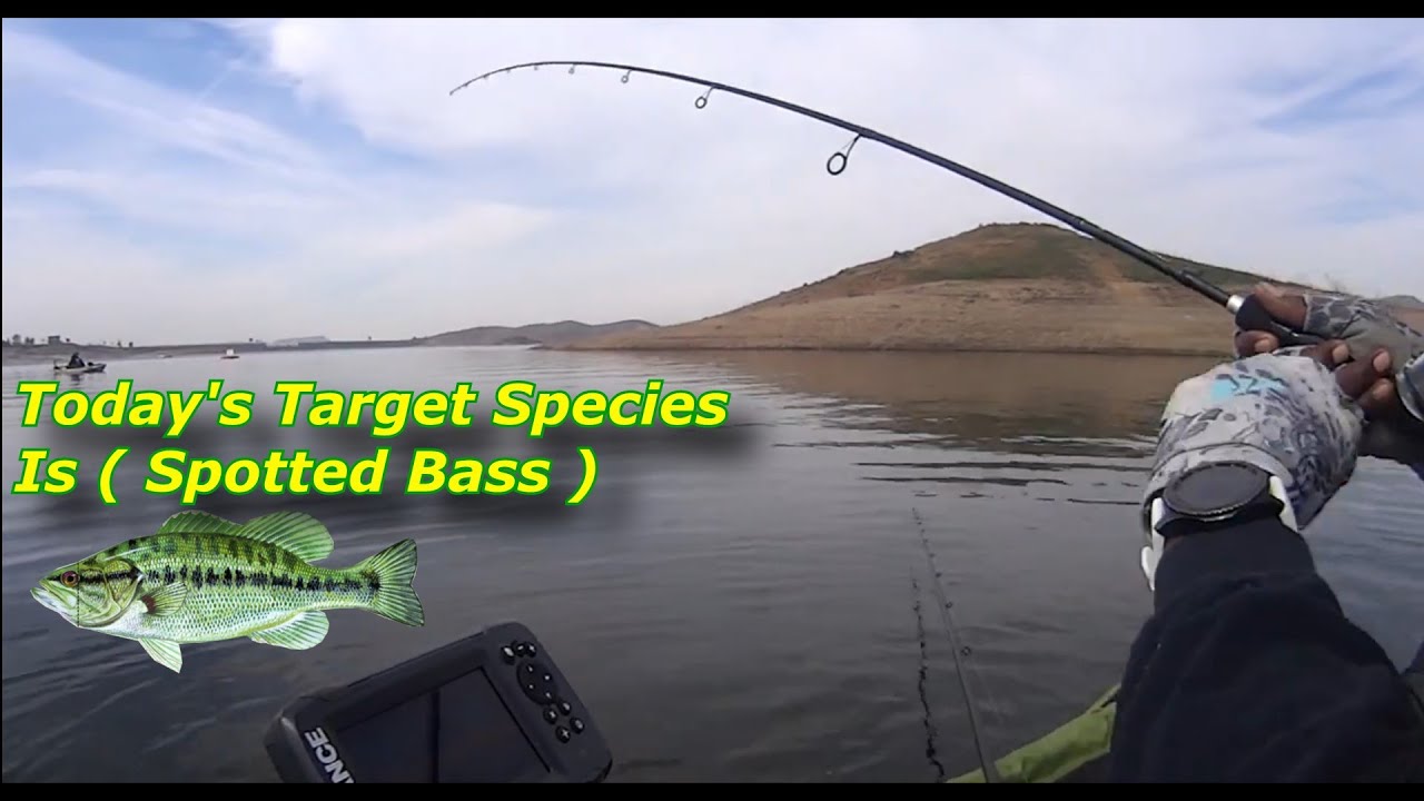 Millerton Lake 02/20/2022 Sunday Target Species Spotted Bass YouTube